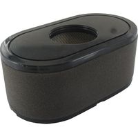 Filtro LONCIN 180100123-0001 1801001230001