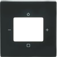 Busch-Jaeger Placa central con impresión Busch-Radio antracita - Plataforma 63 (8252-81-101), 2CKA008200A0248