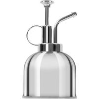 Metall-Gießcanne 300 ml, Messing-Gießcanne im Retro-Stil, einzelne Edelstahl-Gießcanne, Bewässerungsspray für Pflanzen im Innen- und Außenbereich, Blumen, Orchideen, Bonsai (Silber)