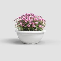 Vaso "Genova" in materiale sintetico finitura satinata colore Verde acido per piante e fiori ciotola 30 cm di alta qualita' con fori da interno ed esterno Verde acido 30 cm - Select 2: ø30 cm - Sel
