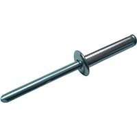 Bulk Hardware BH02213 Rivet pop long en Alliage, 4,0 x 13 mm, Set de 100 Pieces