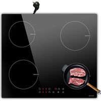 NOXTON Plaque Induction 4 Feux Encastrable, Plaque Electrique avec VDE Fiche, Table de Cuisson Induction avec Commande Tactile, Sécurité Enfant, Minuterie, Plaque de Cuisson Electrique 3500W