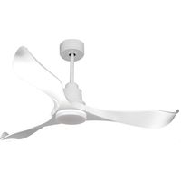Ventilatore da soffitto Reversibile Termostato Dimmabile Wifi Motore CC Tetti inclinati Telecomando Luce a tre toni Adattatore 2/3 lame Hypersilence Memoria PURLINE VirginD132C04LED66819