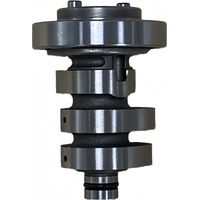 BIEMMEDUE- Nockenwelle für Motorräder, kompatibel mit Yamaha Nmax125 und N-MAX155 155cc Nockenwellen 2DPE217000.