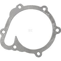 Guarnizione pompa acqua AGCO F119200610040