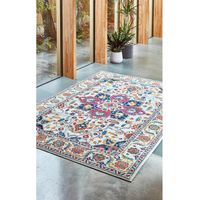 Nova Abstract Traditional NV24 Rug for Living Room Bedroom Bordered Medallion Floral Modern Rug in White Multi Colours in Medium 120x170 cm (4'x5'6")