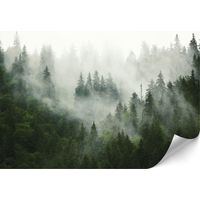 Carta da parati standard in tessuto non tessuto - 100 x 70 cm - stile eclettico - natura Carta da parati premium in tessuto non tessuto - 400 x 280 cm - stile eclettico - natura
