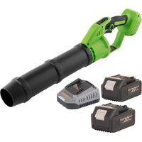 Soplador de hojas con batería Procraft PB24bb 20 V sin escobillas + 2 baterías de 4,0 Ah + cargador