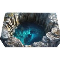 Tapis d'entrée visuel 3D artistique, tapis de sol absorbant à-D