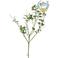 Branche de lierre artificielle, 4 ramures, H 65 cm - BEST