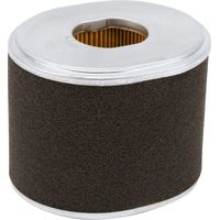 Filtro aria DONALDSON P607254GJ