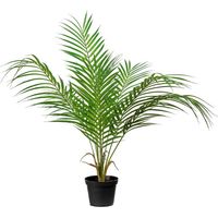 Palmier Areca artificiel, grandes palmes, en pot H 55 cm, D 48 cm