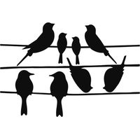 Autocollants oiseaux pour fenêtre - anti collision