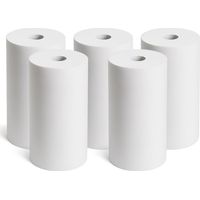 Cartouche anti-sédiments BIG BLUE 10' lot de 5 filtre à eau sous évier - 5 µm