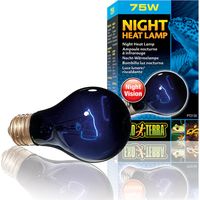 Ampoule chauffante Exo Terra - Ampoule chauffante nocturne