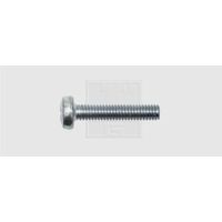 SWG 4009146053105 Assortimento viti filettate M6 10 mm A croce Phillips DIN 7985 Acciaio zincato 100 pz.