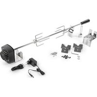 Rôtissoire pour BBQ - Fieldmann - FZG 9031