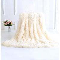 pair 160 200cm Super Doux Chaleureux Peluche Throw Blanket Double Face Fleece Blanket(Blanc)