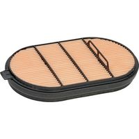 Filtro de aire seguridad DONALDSON P601560