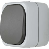 REV Ritter 0511655777 - Pulsante a parete AquaTop, grigio