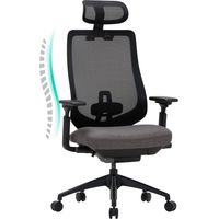 SMARTUE Silla de Oficina, Silla de Oficina de Malla – Silla Ejecutiva con Respaldo Alto, Reposacabezas, Reposabrazos 4D, Asiento Deslizante y Bloqueo de Inclinación, Gris Oscuro