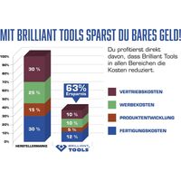 BRILLIANT TOOLS BT010913 - Chiave a forchetta doppia, 25 x 28 mm