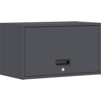 vidaXL Wall Cabinet for Garage with Gas-lift Door Anthracite