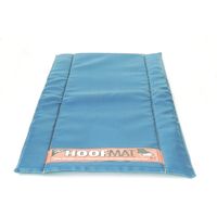 Pédiluve bleu Premium