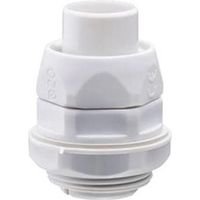 DX54416 Gewiss Raccordo Dritto Pg13,5
