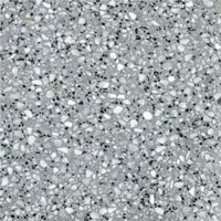 Véritable Carreau Terrazzo fond gris inclusions blanc PIRA 30x30 cm boîte de 0.72m2 Satiné - Gioia Materia
