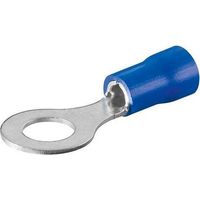 Bm 100 blaue augenlaschen 2,5 f8 00237/b100 00237