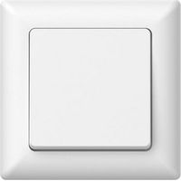 Interruptor duwi varia 10 A empotrable plástico
