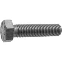 BULLONE T.E. INOX 8x30 Q.TA 100
