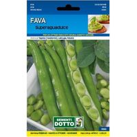SEMENTI FAVA SUPERGUADULCE