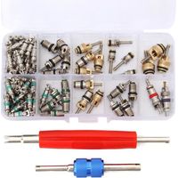 100x Valve Core R12/ R134A Voiture Air Climatiseur Vanne Noyau Démonte obus Kit