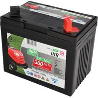 Cartec Rasenmäherbatterie 30Ah/300A +rechts Batterie