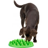 Karlie - Northmate GREEN mini - Anti-Schling Napf für kleine Hunde - grün