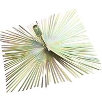 Brosse de cheminée ambiance 105005 poils acier 250 mm
