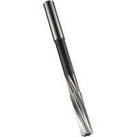 Maschinenreibahle B170 DIN 212 Form B D.4,04mm HSS-E Blank