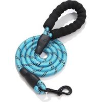 laisse de remorquage pour chiens, 3 m Laisse robuste pour chien, laisse d'entraînement
