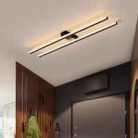 Plafonniers LED, luminaires LED créatifs, luminaires modernes, éclairages pour cuisines, doubles luminaires linéaires, adaptés aux salons et chambres (3000K)