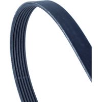 Courroie Poly-V striée automobile Contitech 6PK1460