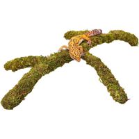 Gecko Tank Accessories, Adjustable Climbing Toys Supplies, Terrarium Habitat Decor