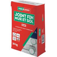 Feine Dichtung Wand und Boden PAREXLANKO - Weiß - 20kg - 03422