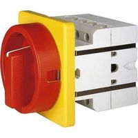 ELEKTRA T. HAUPT/NOT-AUS-SCHALTER 25A,UNTE S1 011/HS-F3-D-RG ELEKTRA TAILFINGEN 134369