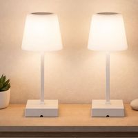 Lampada da tavolo Lampada da salotto Touch dimmer Lampada laterale ricaricabile CCT LED argento, plastica alluminio, 2W 100Lm bianco caldo-freddo, DxH 8,5x25,5 cm, set di 2
