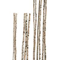 Birkenstamm 90 cm - ø 2-4 cm Birkenholz Birke Deko Holz