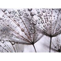 After rain, photo murale intissée, 155x110 cm, 1 part