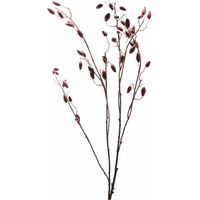 Burgundy Rosehip Stem Artificial Plant - Plastic - L17 x W17 x H108 cm - Red