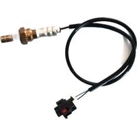 Oxygen sensors 55353811 and 55353812 suitable for Chevrolet Cruze and Opel.